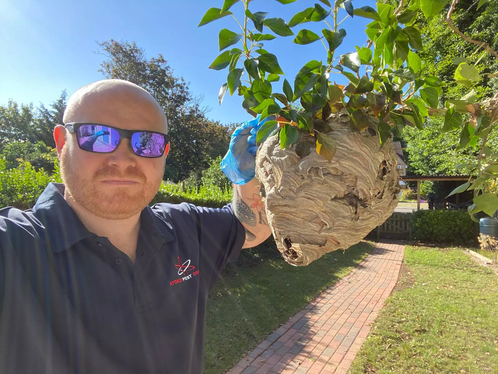 Signs There's a Wasp's Nest On Your Property 